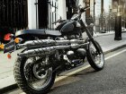 Triumph Scrambler